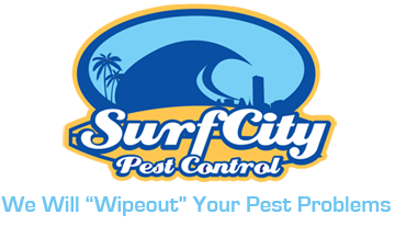 Orange County & LA County Pest Control | Surf City Termite & Pest Control